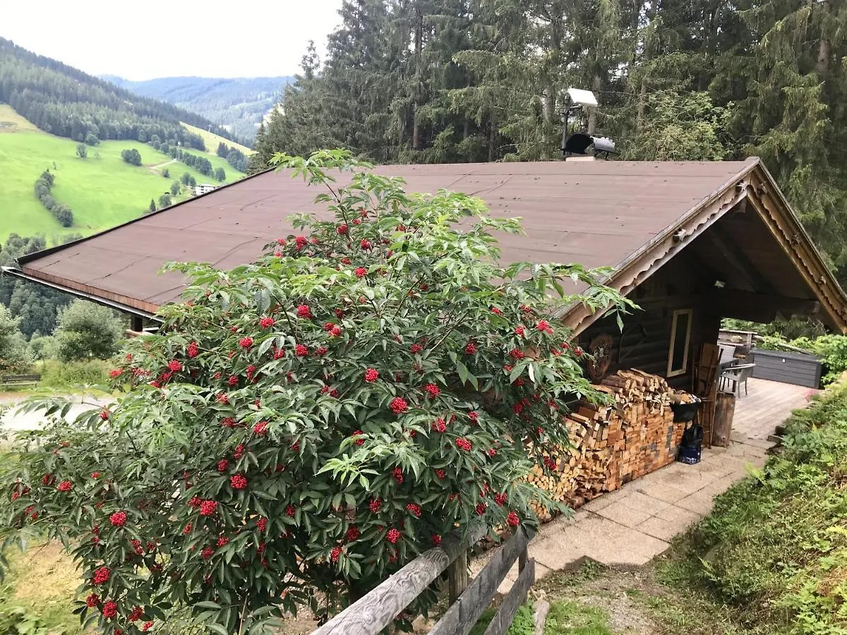 Chalet Wasserfallhuette Saalbach